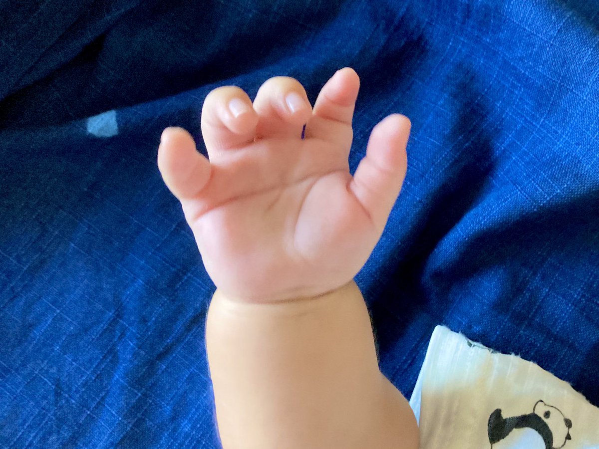 はなしろ正樹 おはようございます 3ヶ月の子どもの手 に なんと ますかけ線 手のひらに て の文字があるように見えません 感性も知性も 追い越してくれよ 国試までのカウントダウンを確認します さぁ 朝活しましょう ますかけ