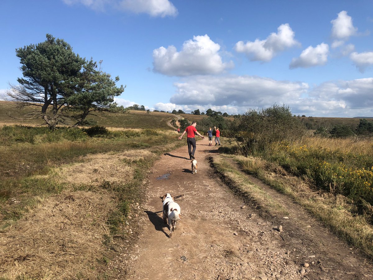 Churchill Square tweet media