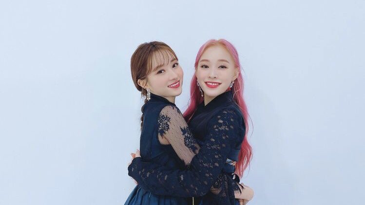 csmicdreamdm's tweet photo. ☀️.   —   𝗵𝗲𝗮𝗹𝗲𝗿   ⿻  𝘮𝘪𝘯𝘪 

                           𝕚̲𝕟̲𝕗̲𝕠̲𝕤̲ https://t.co/J6FiEMqRME