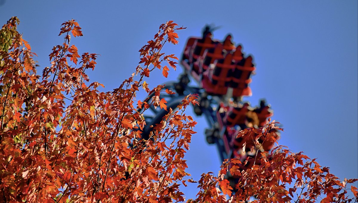 Kenny_Kangaroo's tweet photo. Coaster rides x autumn colors = one of the best things about Phantom Fall Fest! 🍂 Be sure to join us for Sunday evening frights, beginning at 6:00 p.m. https://t.co/iVyjt2YD0B https://t.co/pSCSURMoWu