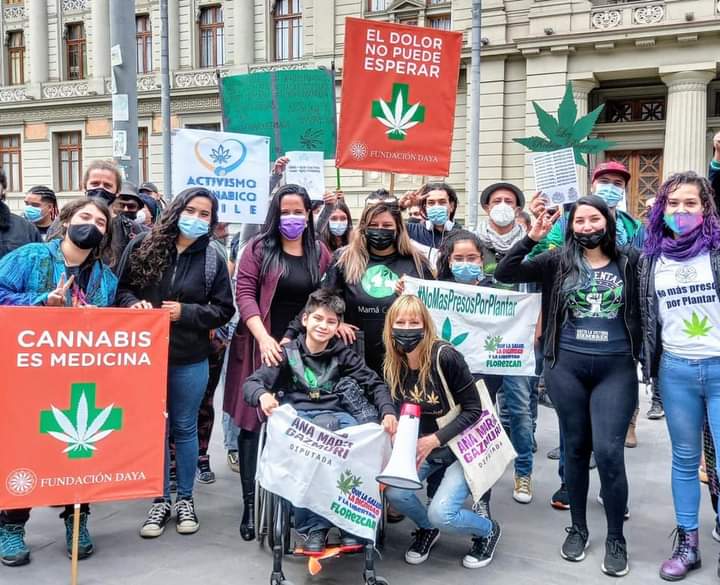 SeguimosChile's tweet photo. CANNABIS MEDICINAL
EL DOLOR NO PUEDE ESPERAR
Esta es una d las causas q motiva mi militancia social, ser parte del equipo d
@FundacionDaya y la bancada cannábica q lidera
@AnaMariaGazmuri
#RancaguAvanza con un CENTRO DAYA para #OHiggins
#NoMasPresosPorPlantar #BegazoCORE https://t.co/3q1b4gaCWB