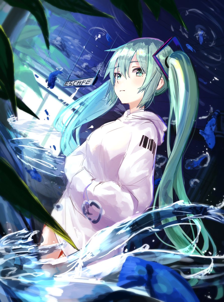 hatsune miku 1girl fish long hair solo twintails hood barcode  illustration images