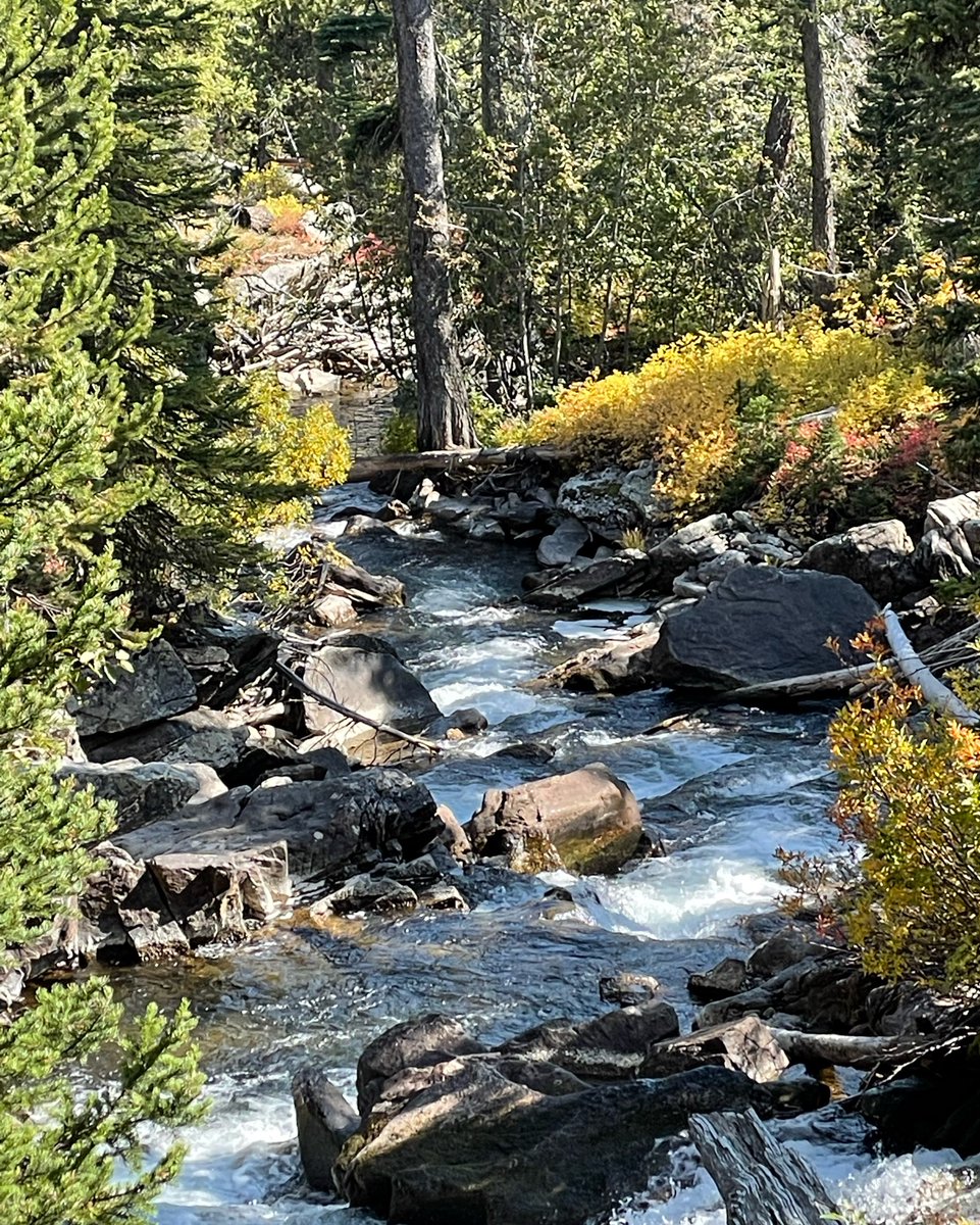 “Eventually, all things merge into one, and a river runs through it.”

-Norman Maclean