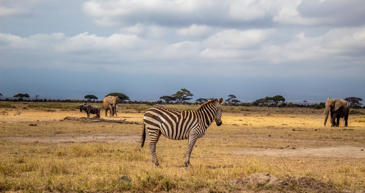 Eston Mwaura tweet media