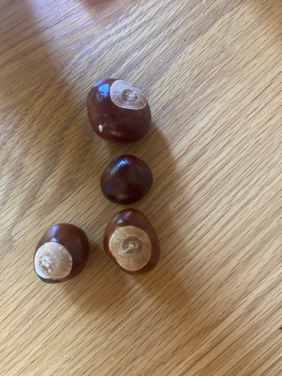 The Children's Wood tweet media