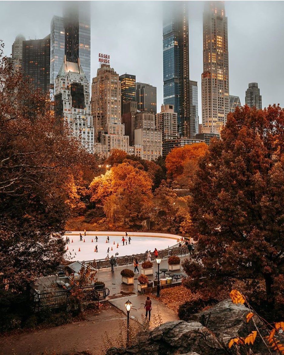 pamvonhadder's tweet photo. Fall will always be the best season 🍂🍁🎃🖤 https://t.co/hSP8HsZzsF