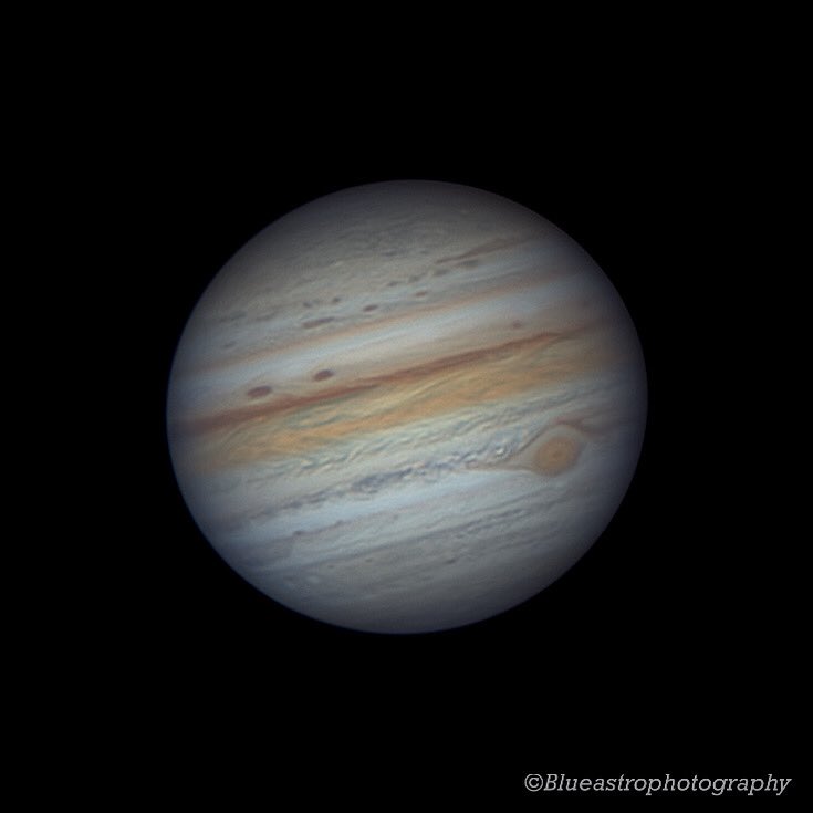Blueastro93's tweet photo. Jupiter July 27, 2021
U.T: 02:32

Equipment: 
C11 XLT 
ZWO ASI224mc
Baader uv/ir cut filter
Barlow 2.5x
ZWO ADC
#Jupiter #Astrophotography #planet #yesESA #astronomy #solarsystem https://t.co/9WntwyZwRf