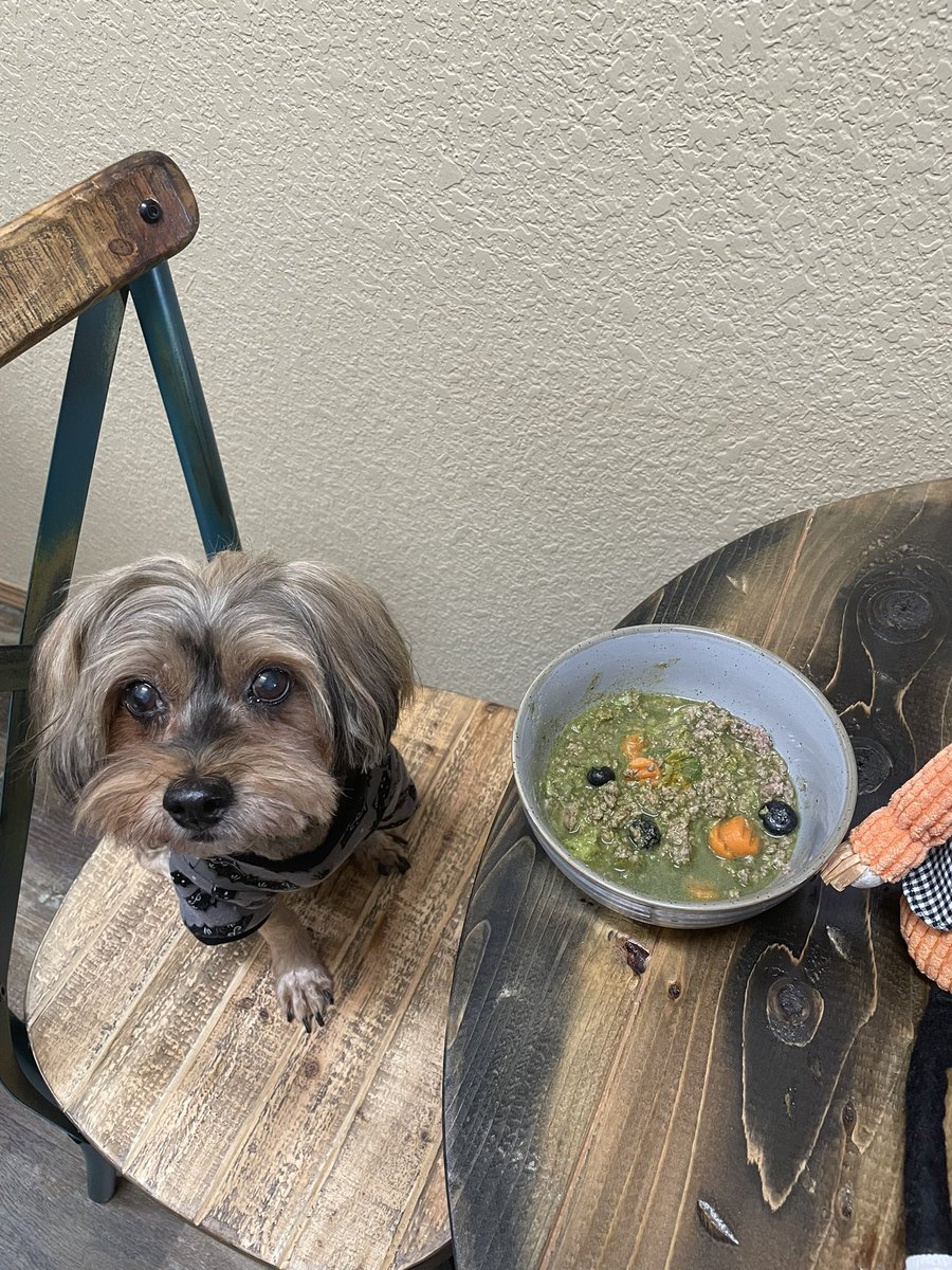 Dinner for Masen
Ground Bison
Shredded Brussel Sprouts
Carrots
Blueberries 
Green Tea (Caffeine Free)
Turmeric  
Beef Bone Broth
Dr. Broadfoot’s Allergy Concoction