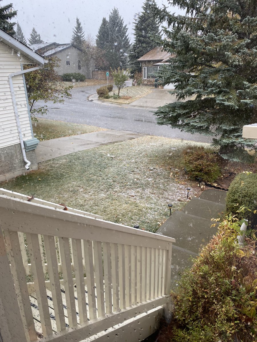 Cdn_Redhead's tweet photo. I’m not ready for the snow #yycweather #sadface https://t.co/p2DehYhBUc