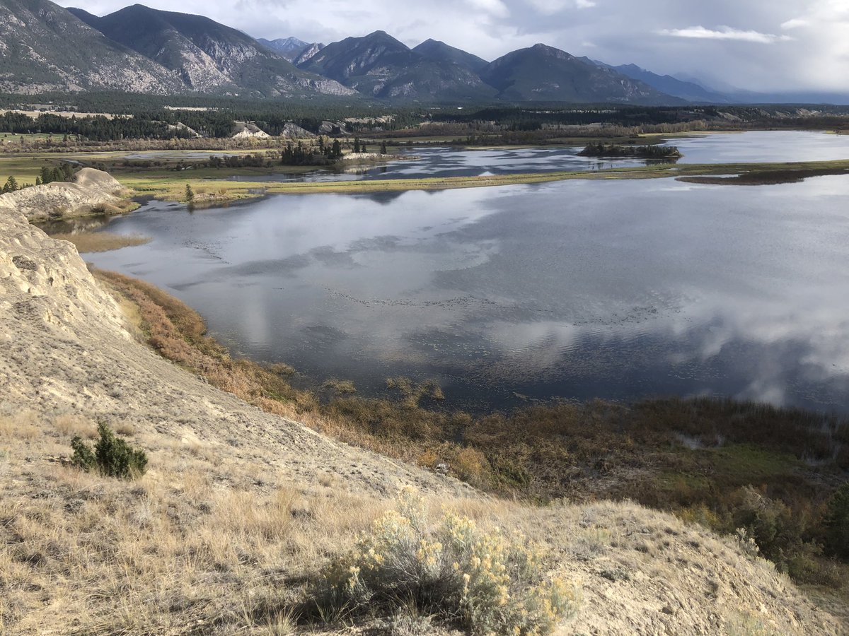 Tried hiking into the alpine but too much snow so the Columbia Wetlands will have to do! Pretty good consolation! #canadianrockies #columbiawetlands
