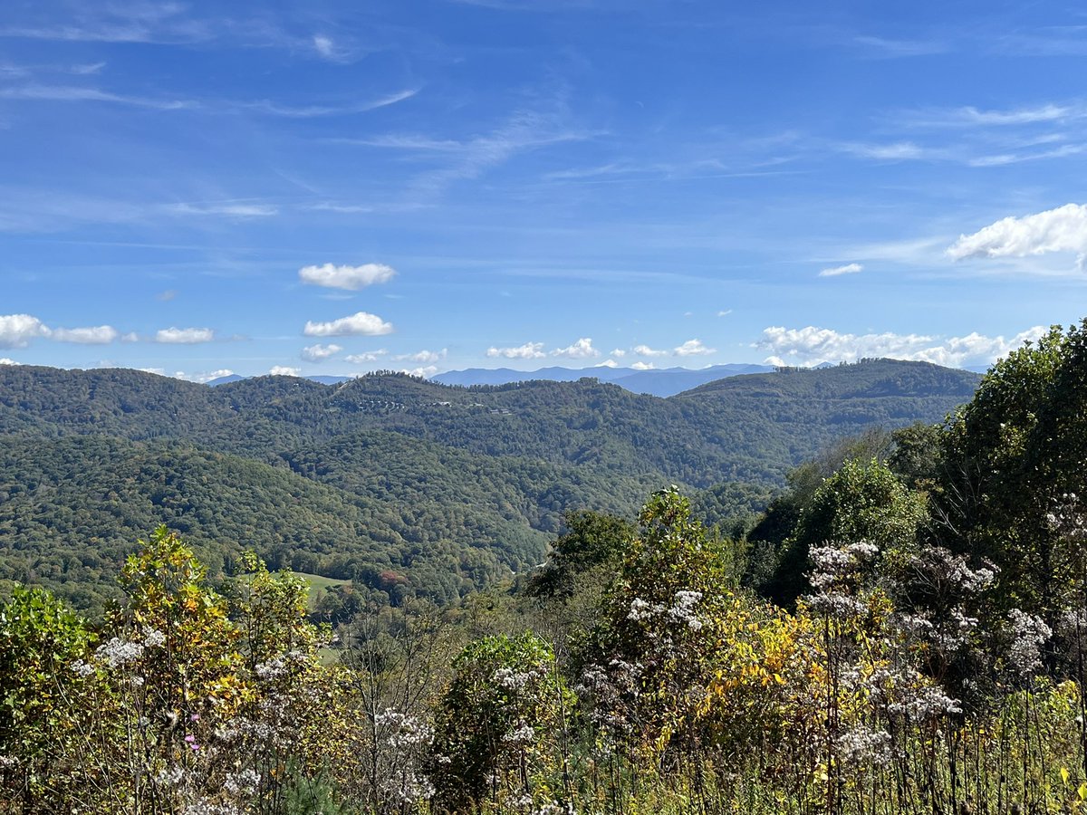 nacho_jason's tweet photo. Did I hike on the Appalachian trail today? 

Yes. https://t.co/9VnWRkUmhu