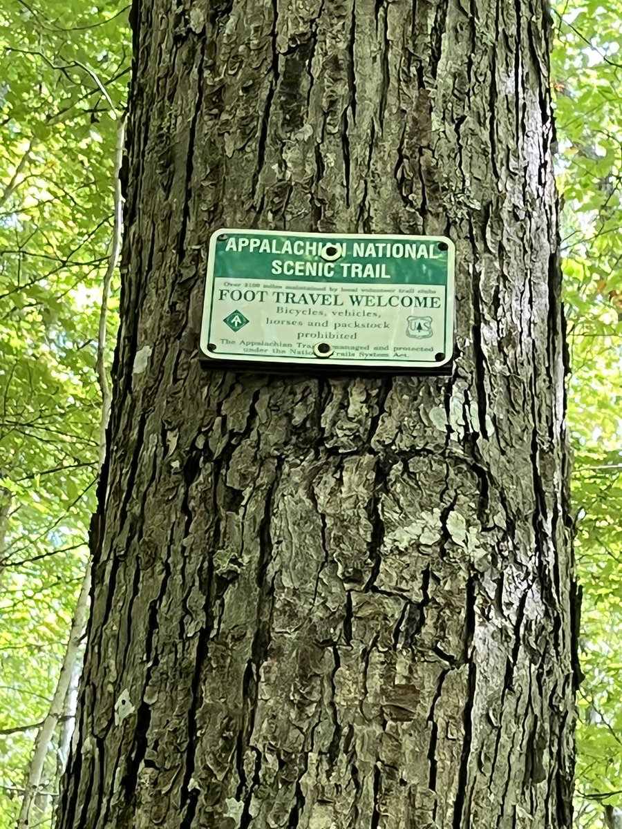 nacho_jason's tweet photo. Did I hike on the Appalachian trail today? 

Yes. https://t.co/9VnWRkUmhu
