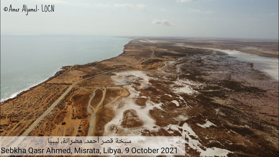 LOCN_ly's tweet photo. On the World Migratory Bird Day 9 October 2021 (the big day), we worked on a bird census in three sites in Misurata, Sebkha Qasr Ahmed, Wadi Sassou and Al-Kraarim.
35 species of birds have been recorded.
https://t.co/asKe4QnF3Y
@global_birding
@WMBD @Team_eBird
@BonnConvention https://t.co/E66x0wmxsq