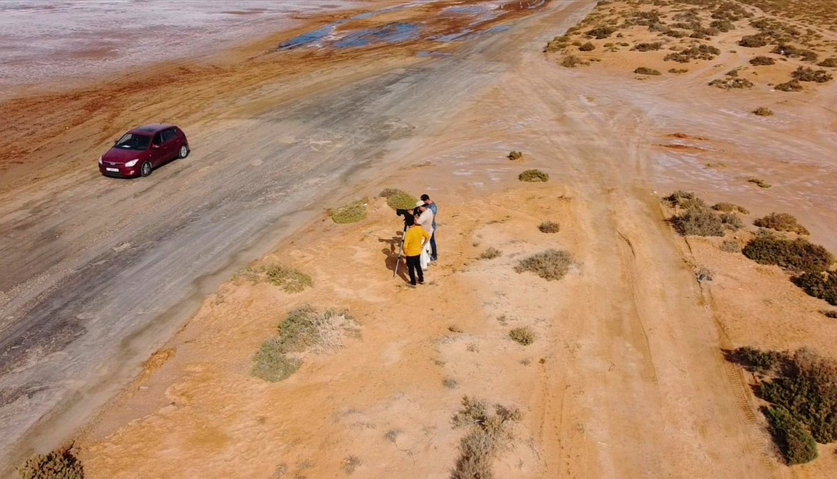 LOCN_ly's tweet photo. On the World Migratory Bird Day 9 October 2021 (the big day), we worked on a bird census in three sites in Misurata, Sebkha Qasr Ahmed, Wadi Sassou and Al-Kraarim.
35 species of birds have been recorded.
https://t.co/asKe4QnF3Y
@global_birding
@WMBD @Team_eBird
@BonnConvention https://t.co/E66x0wmxsq