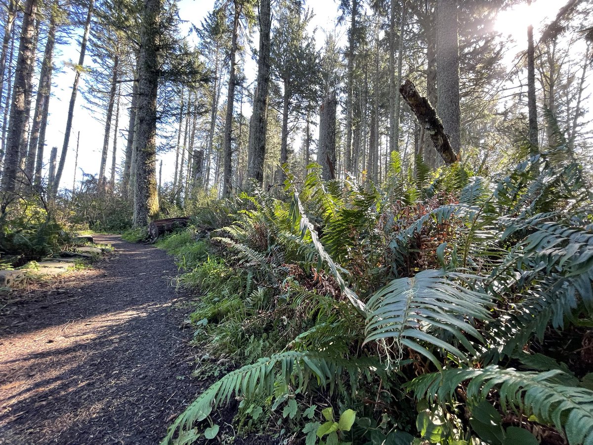 ForestServiceNW's tweet photo. This #WorldMentalHealthDay, we recommend a walk in the woods. The American Psychological Association sites that being in nature can lead to increased attention, reduced stress &amp; better moods. Go take a hike today: doctor’s orders! 

https://t.co/y0ebW1XjLr https://t.co/6xhldzc6pL