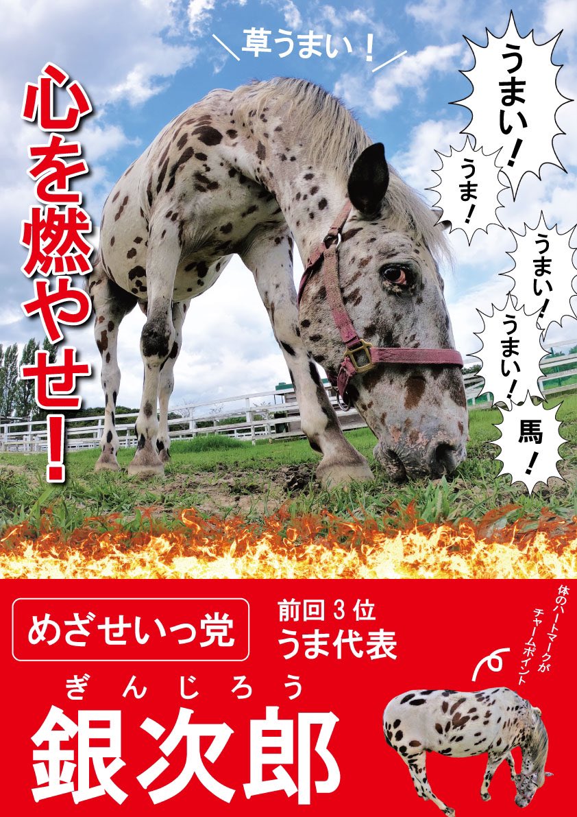 ピンクのうさぎ Usagich Twitter