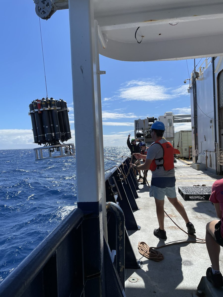 PLUME RAIDERS (RR2106) tweet media