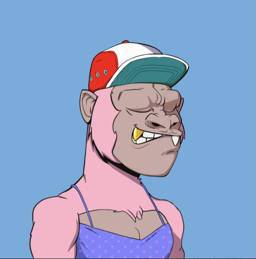 onlyjpegs's tweet photo. Decided to Kong it up again. 
Love this project @RumbleKongs. 
And the pink fur spoke to me.

Thanks @jvceruss for the rec https://t.co/JwdkAamECp