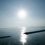 DNA@フォレスターSKE : OM-D EM-1 Mark-Ⅱのツイート画像