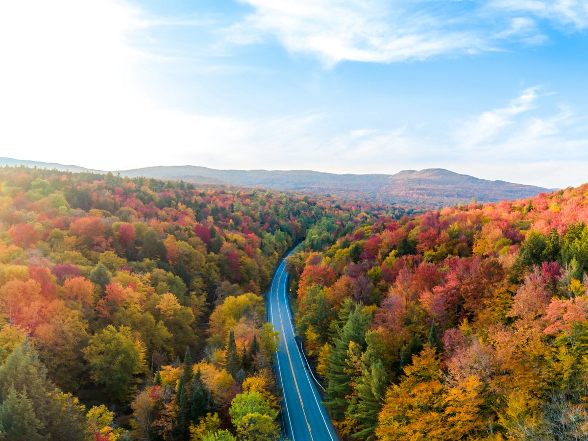 POV: It's fall in #Vermont 😻🍂

(P: lukamester via Instagram)