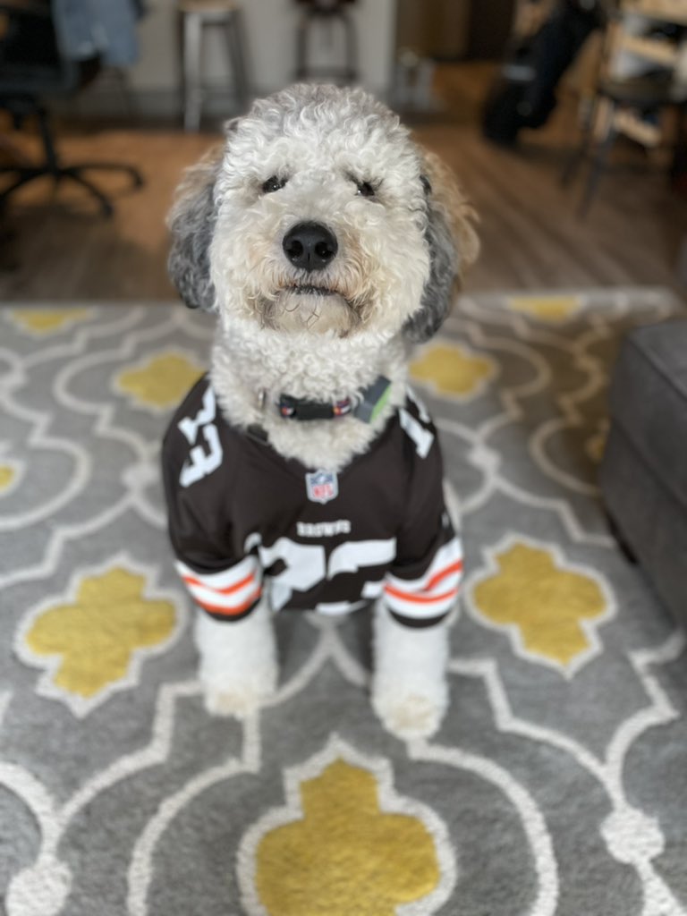 raeboyko's tweet photo. Big @joethomas73 energy today from Bogey! 💪🏼 #Browns https://t.co/PXtCGmxrO9