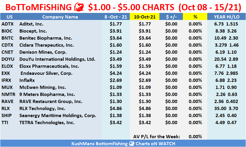 KushMansPicks's tweet photo. #BoTToMFiSHiNG🎣 $1.00 - $5.00 #CHARTS (Oct 08 - 15/21)
$ADTX
$BIOC
$BNTC
$CDTX
$CNET
$DOYU
$ELOX
$EXK
$IFRX
$MUX
$NMTR
$RAVE
$RLX
$SHIP
$TTI https://t.co/2wQAUjrrGi