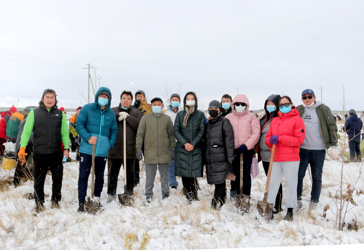 “Тэрбум мод” үндэсний хөдөлгөөнд ХАБЭМТөвийн хамт олон нэгдлээ
habemt.gov.mn/content/20252.…