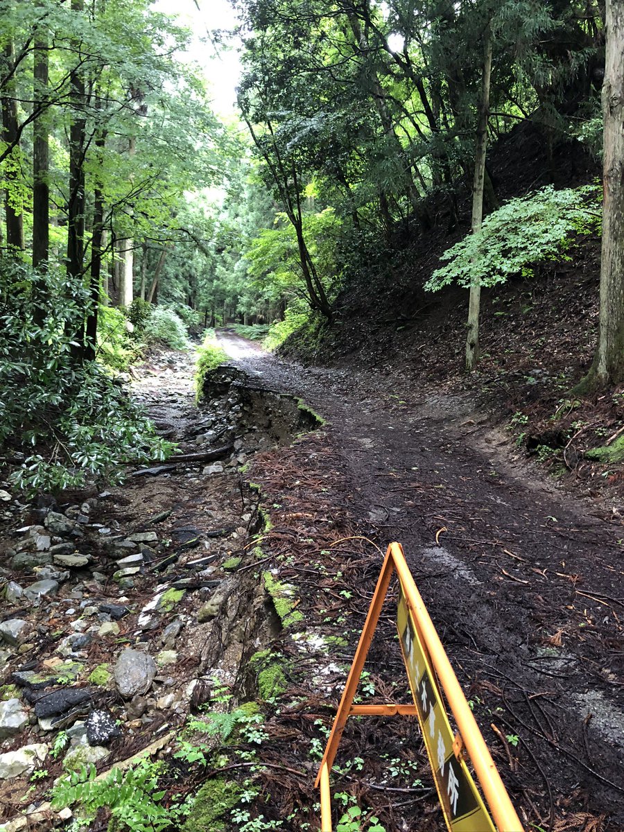 現生人類 遠征先未定 On Twitter わかりみしかない いつもの岐阜の帰りにうっかり迷い込んだはいいが後退する勇気 がなくて河内の風穴まで進みきって以来あれより酷い道は何があるのかと気になって仕方なくなり今に至ります Https T Co Dxyhi2hxco