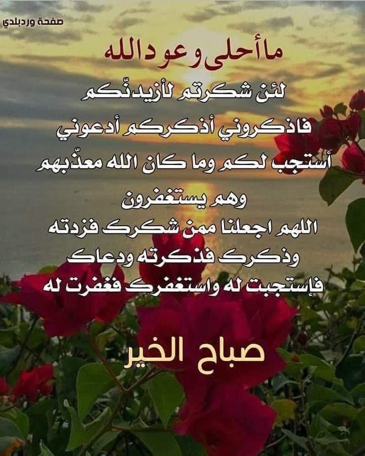 _Alhomide's tweet photo. https://t.co/n9hIY4UO3F