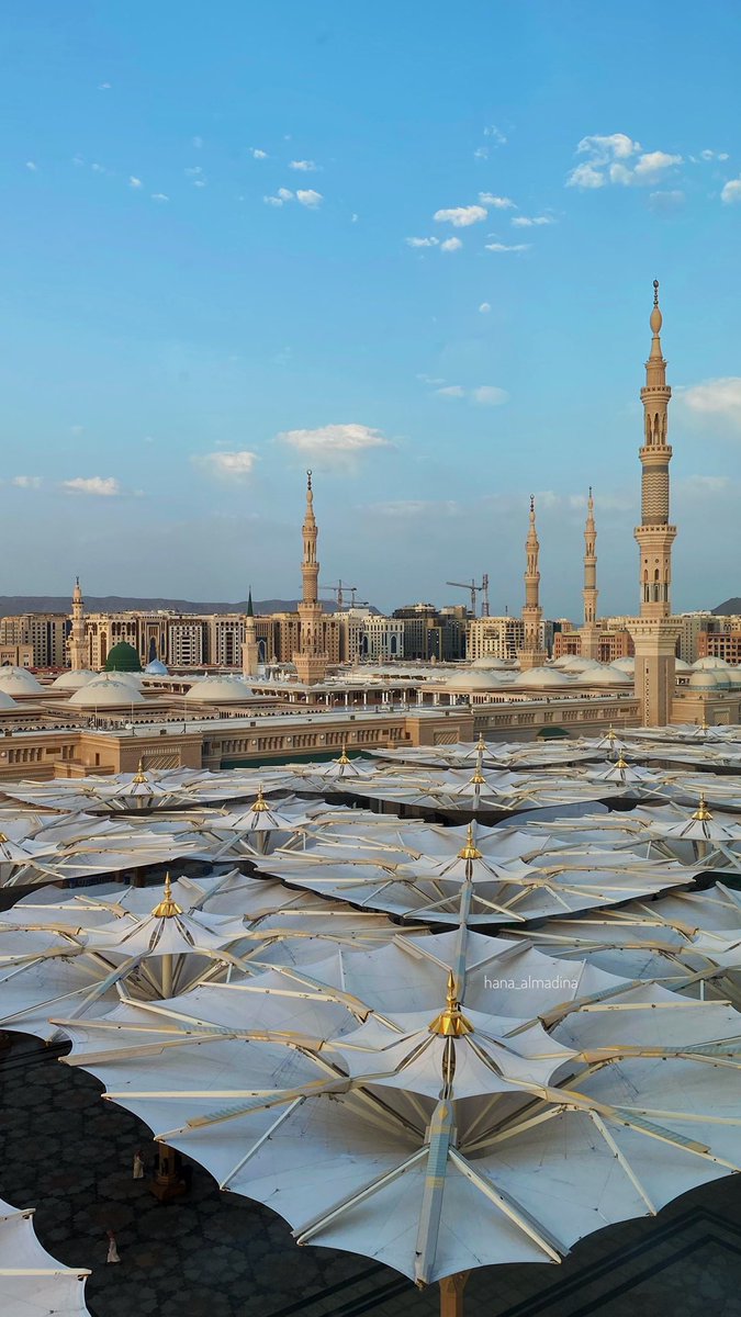 قاف tweet media