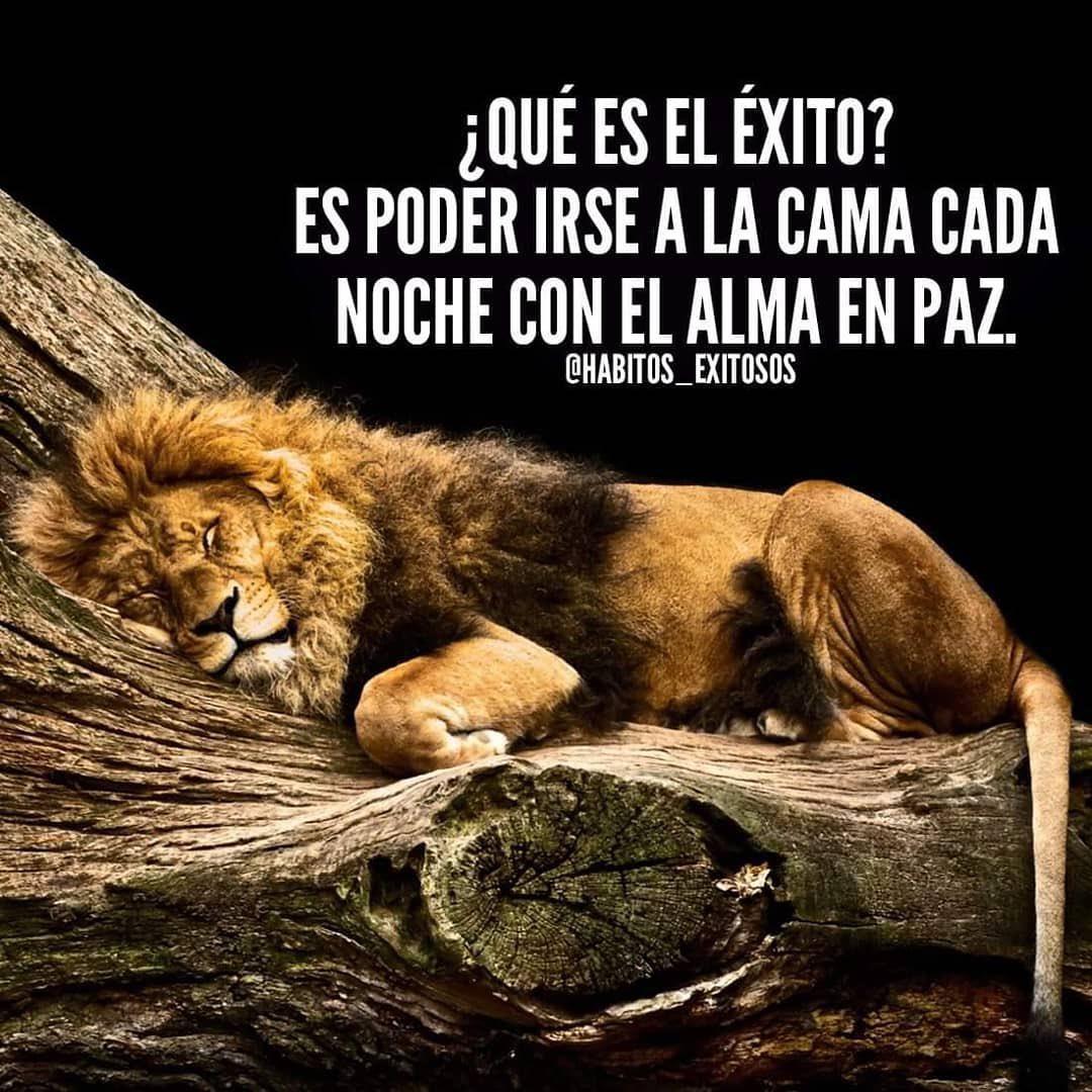 TessieSanchez's tweet photo. Fin de jornada por hoy. ¿Feliz? Inmensamente, y agradecida, pero sobre todo, con el alma en paz🙏🏼
Fuerte abrazo, #MaresDeBendiciones https://t.co/iZIKqQEH9J