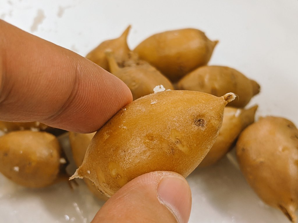 豊洲市場ドットコム この小さい芋の名前わかる人 青森県の方にはサービス問題 T Co Exrlktkomy Twitter