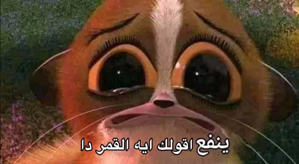 dodoo122's tweet photo. @mernaa_ehab 🙈🥰🥰 https://t.co/FZAigr2IwG