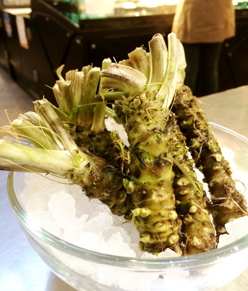 Fresh Wasabi is Back!
Chances are you’ve never tasted real wasabi - it doesn't have the harshness of horseradish (the green-tinted stuff served at almost all sushi bars). Real wasabi is fragrant and complex. Ask us how to use it!

#wasabi #southchinaseas1 #granvilleislandmarket