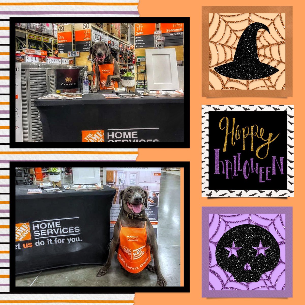 Thought we would give our Leads table a different look this weekend and try out some new talent.  Wrigley definitely started a lot of conversations.  #HVACanywhere #FillThePipeline2H2021
#WeLoveOurServiceProviders #745Strong <a href="/BethGilbertTHD/">Beth Gilbert</a> @THD_Audrey <a href="/crystal_THD/">Crystal Walker</a> @thd_young