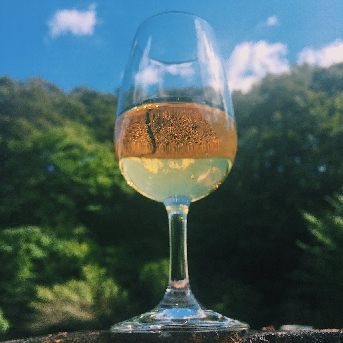 ateus_wine's tweet photo. 美味しい食べ物たくさんの栃木県。
ワインと一緒にいかがですか？
 #最下位脱出した栃木の写真を貼れ https://t.co/CGjsLrgvht