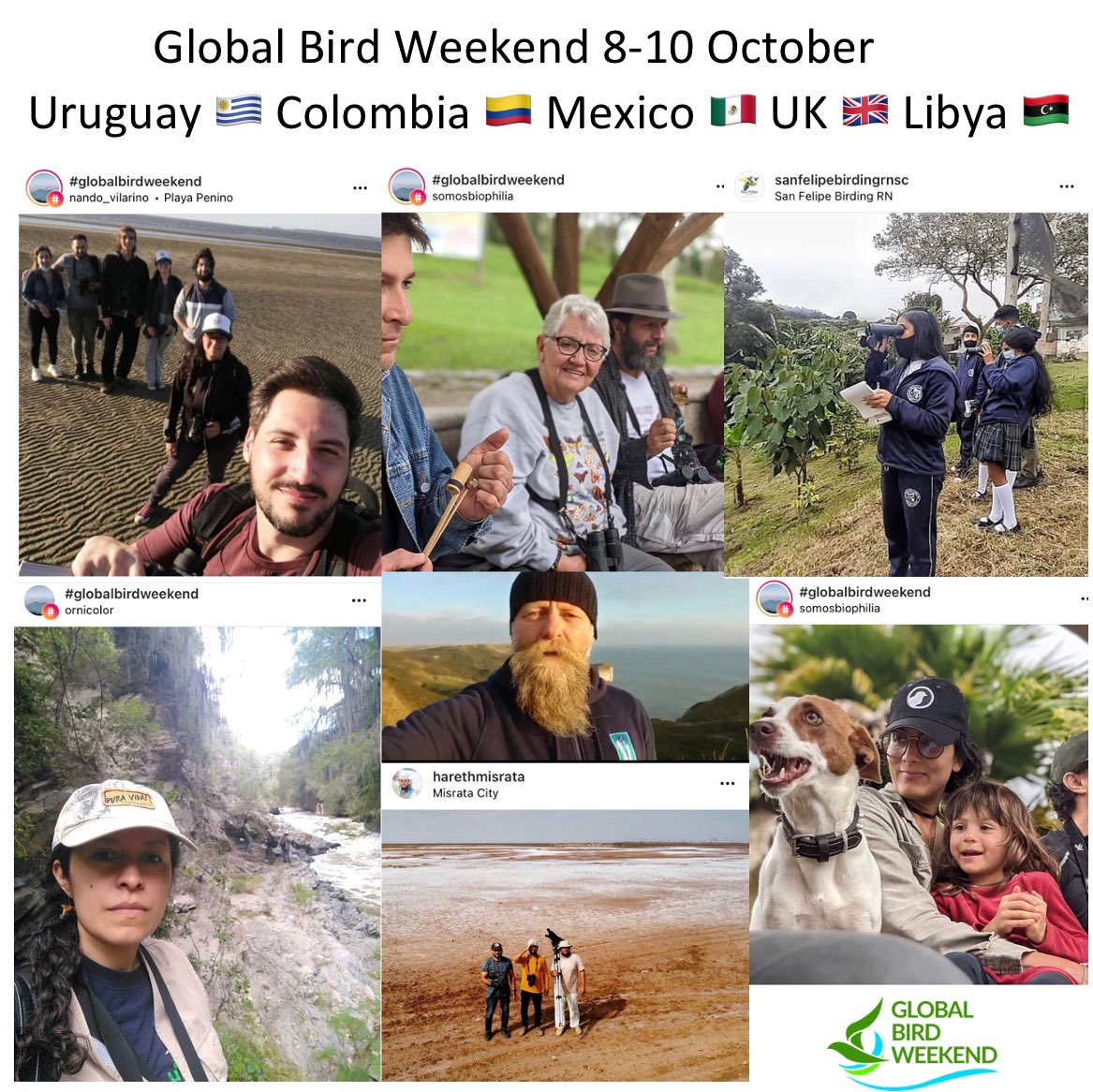 global_birding's tweet photo. Global Bird Weekend was amazing
💡 Learning
✅ Counting 
👨‍👩‍👧‍👦 Sharing 
Where were you? 🌎🌍🌏
@ZEISSBirding @Markthebirder @juanmreyesma @wildlifedirect @cfe_anep @RobertSilva1971 @ABCbirds @AndyJBoyce @sabirdfair @WMBD @Alhareth_Mis @LOCN_ly @_TCartz @BirdLife_News @society_bird https://t.co/ubYe1pnYBZ