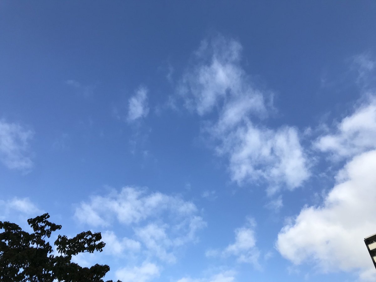 おはようございます。今日も爽やかな秋空の名古屋です。ヤスイ質店、今日も元気に営業しています！
yasui78.com