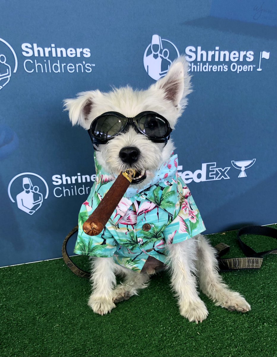 BarkAndreFurry's tweet photo. Congratulations 
 Sungjae Im 
2021 @ShrinersOpen Champion! 
~ Bark🐾
#SCO21 #ShrinersOpen #VictorySausage https://t.co/w0bmmtmrjk