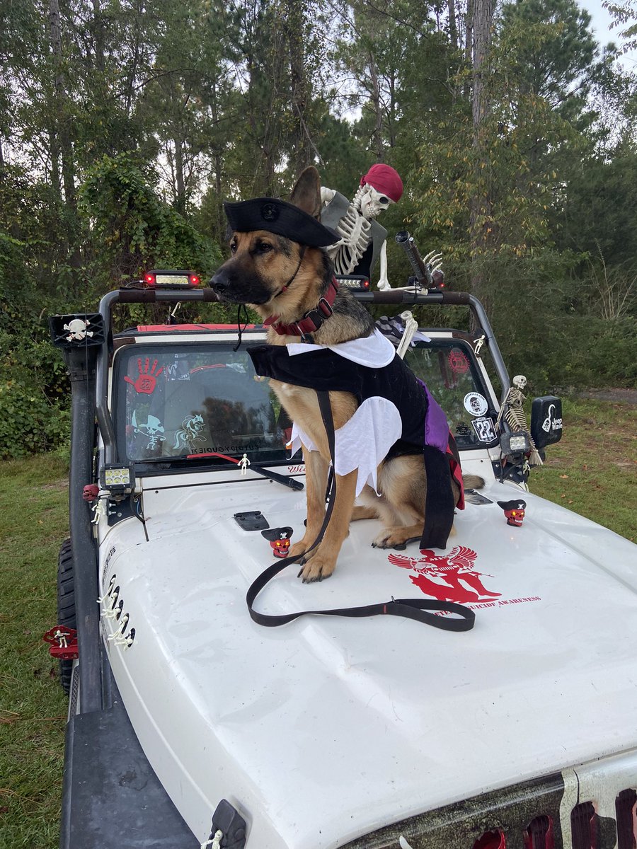 Kirby98tj's tweet photo. Set a course to catch that prize #thebooty #piratepup #jeepdog @THEJeepMafia 🏴☠️🐺 https://t.co/2B4CCZeIyd