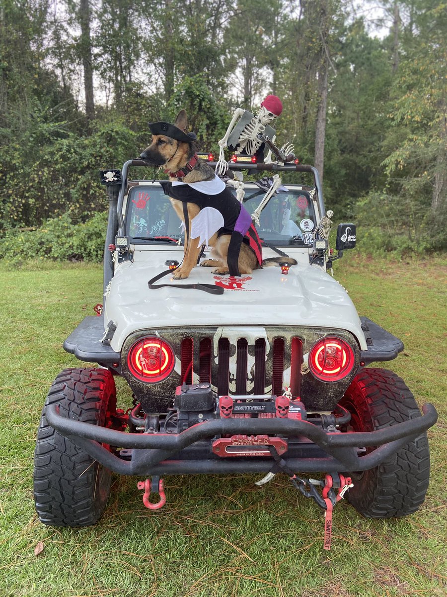 Kirby98tj's tweet photo. Set a course to catch that prize #thebooty #piratepup #jeepdog @THEJeepMafia 🏴☠️🐺 https://t.co/2B4CCZeIyd
