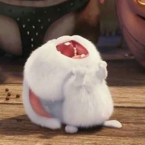 ‍ ‍ ‍ ‍ ‍ ‍
ㅤ〝 Solo vengo a decir que hierba mala nunca muere. 〞
 ‍ ‍ ‍ ‍ ‍ ‍