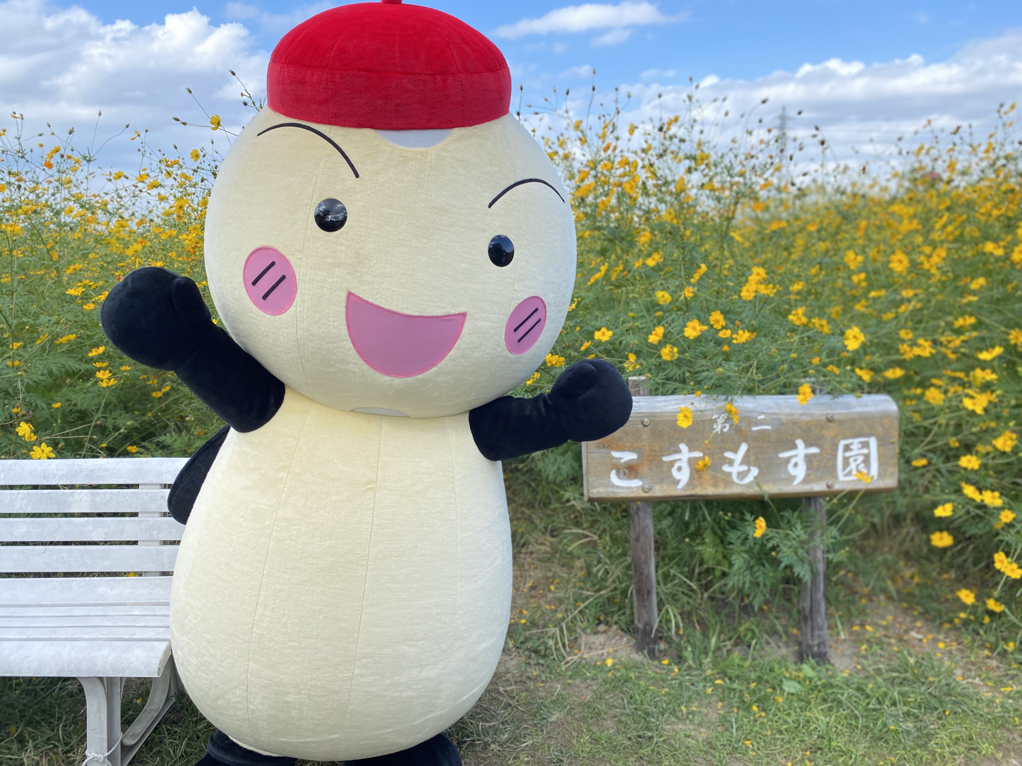 もーりー 公式 Hotarunoyousei Twitter