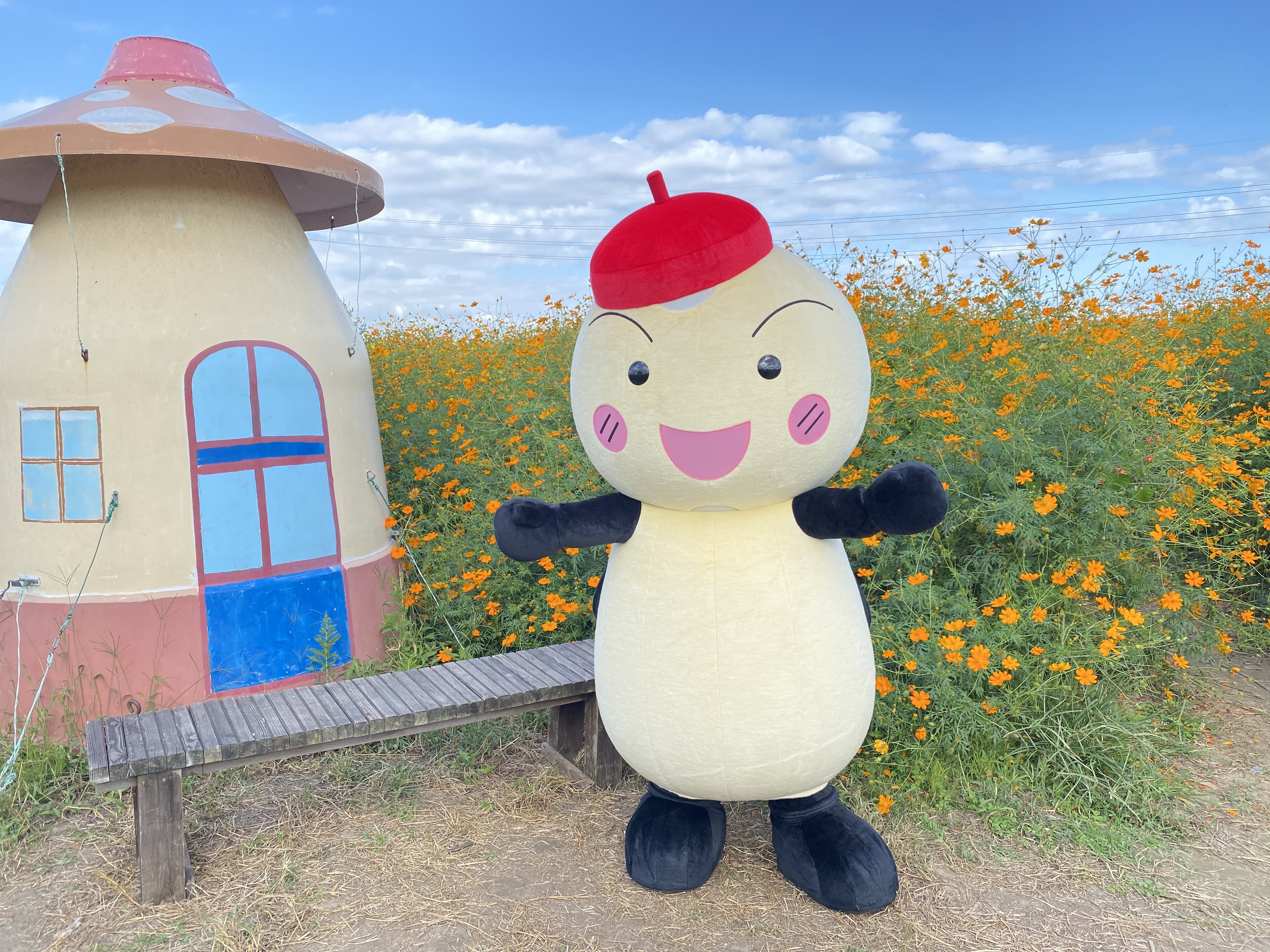 もーりー 公式 Hotarunoyousei Twitter