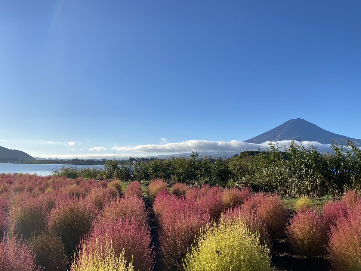 oakstoreyama's tweet photo. 河口湖にきました！山梨県側から富士山を見るのが初めてなのでとても興奮しました！#富士山 #河口湖 https://t.co/0BnserHSn0