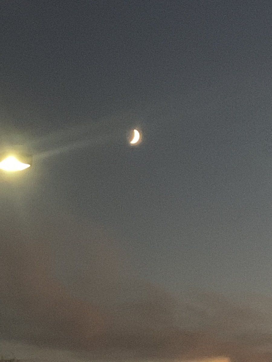 Betsy Luke tweet media