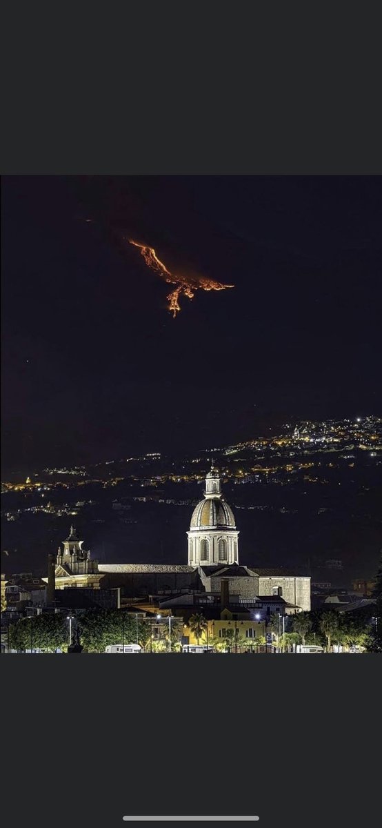 Optionistic tweet media