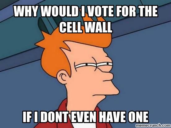 Nucleusforlife's tweet photo. @CWICJECM Look at who is speaking. The only function of the cell wall is to support the cell. On the other hand, the nucleus is the brain of the cell that is responsible for the functions of all cell organelles. 
#organellewars https://t.co/ZMkzZjw2te