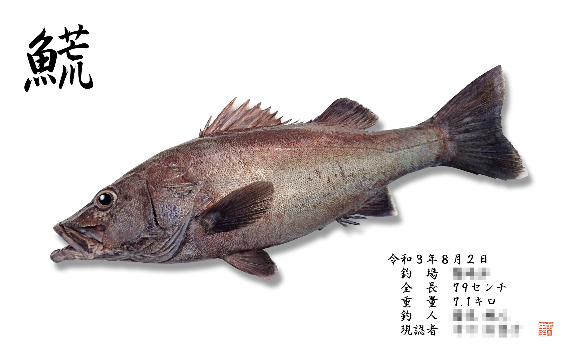 デジタル魚拓 魚墨 本日のご紹介は リアル魚拓 アラ 79 アラと言えば 九州でいうとクエの別名なので 混同されやすいですが でも見た目は全く違うのと 今回 魚名に使っている 𩺊 という漢字は こちらのアラにしか使われない漢字です 魚 魚拓