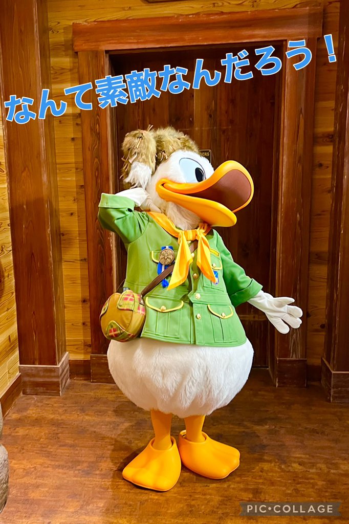 Uzivatel 東京ディズニーリゾートpr 公式 Na Twitteru お祝いするならどのプラン みなさんにとって記念日はいつですか 誕生日や結婚記念日などいろいろな記念日があると思いますが 今日はデラックスタイプのディズニーホテルでご利用いただける 大切な記念 Uzivatel 東京ディズニーリゾートpr 公式 Na Twitteru お祝いするならどのプラン みなさんにとって記念日はいつですか 誕生日や結婚記念日などいろいろな記念日があると思いますが 今日はデラックスタイプのディズニーホテルでご利用いただける 大切な記念